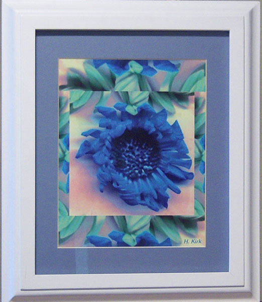 Blue Daisy with Border